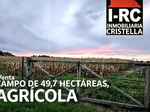 VENTA DE CAMPO AGRICOLA EN CARMEN DE ARECO