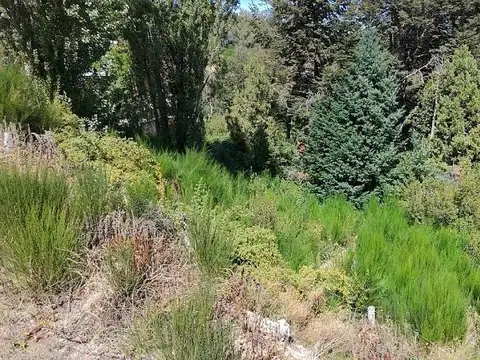 Terreno en Venta de 1683,0 m2