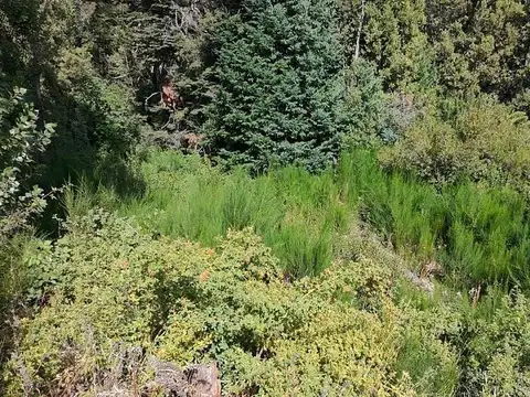 Oportunidad en Barrio Epulafquen