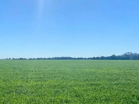 BIGAND a 3km ruta Nº 178