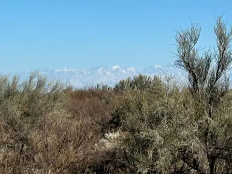 Campo En Venta en Las Catitas