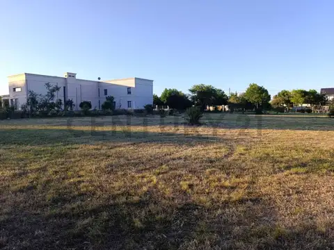 Terreno en Venta de 10000,0 m2