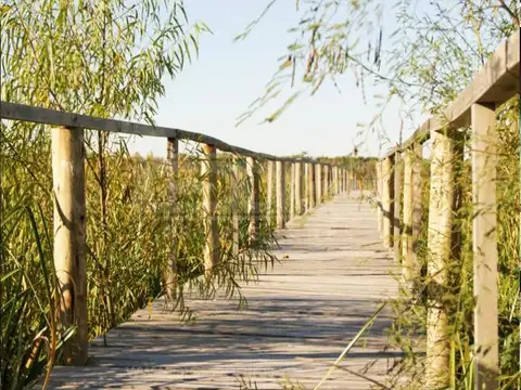 Terreno en Venta de 10676,0 m2