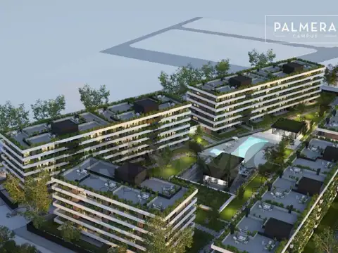 PRECIO PROMOCIONAL PALMERA CAMPUS