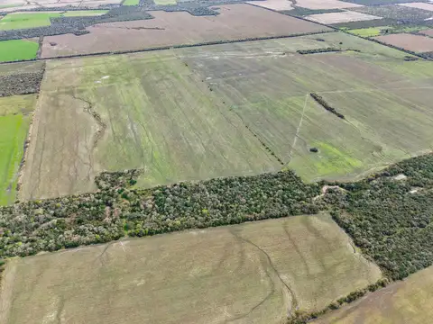 Campo agricola en Alcaraz con 230 hectáreas, zona La Paz