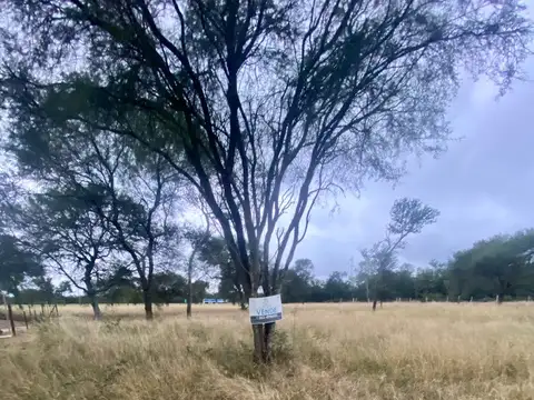 Terreno en Venta 40  mts Fondo