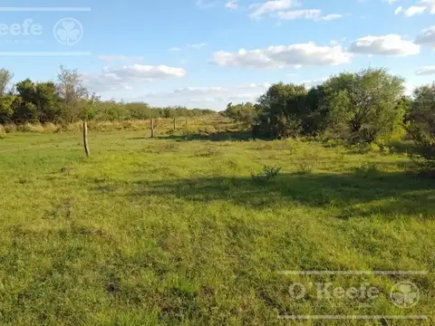 Campo en Venta de 3945 has en San Luis