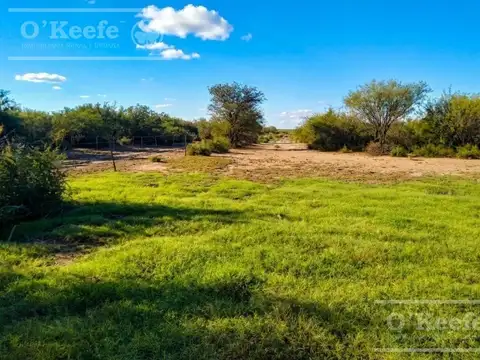 Campo en Venta de 3945 has en San Luis