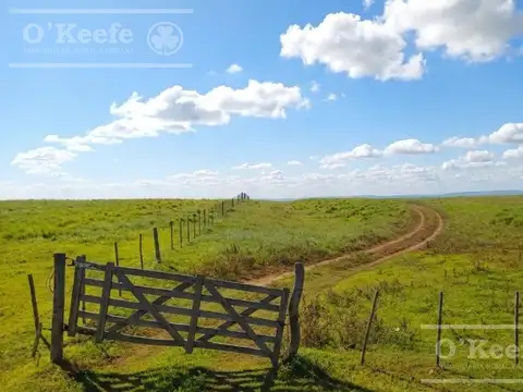 Campo en Venta de 3945 has en San Luis
