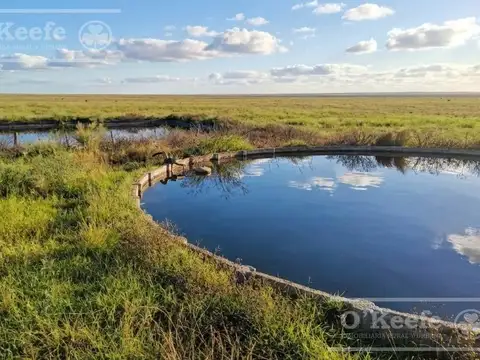 Campo en Venta de 3945 has en San Luis