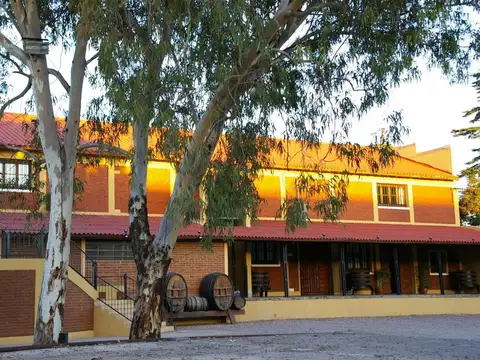 Galpon en Venta 77 años