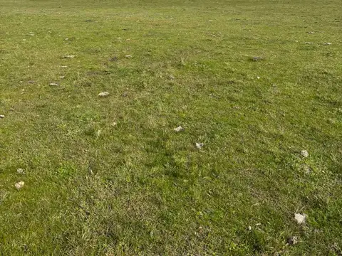 CAMPO EN VENTA 52 HECTAREAS FIGHIERA