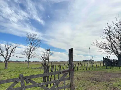 Ruta Nacional 9