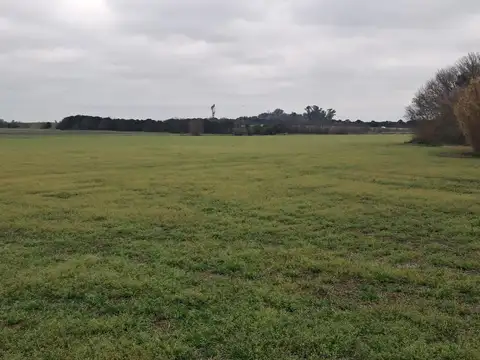 Campo 80 hec Agricolas J.B.Molina Santa Fe
