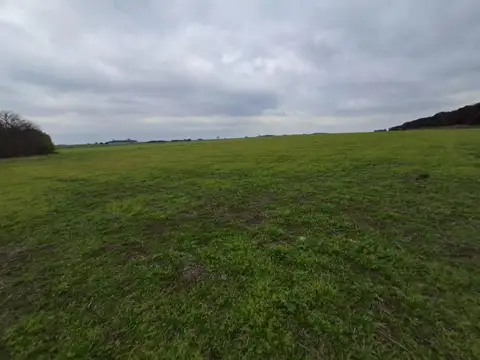 Campo 80 hec Agricolas J.B.Molina Santa Fe