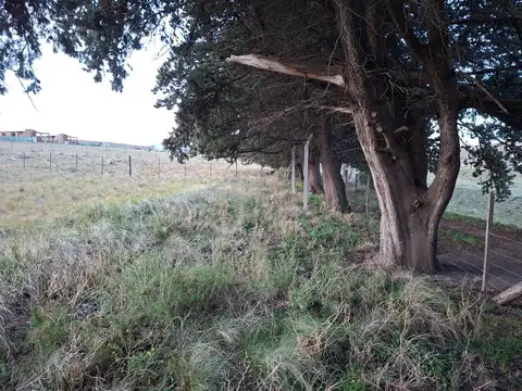 Lote Fondo Arbolado Al Arroyo El Negro 882 M2 Piscicultura