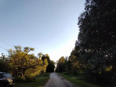 calle 6 entre 9 y 11 , los naranjos ruta 11 km 25 apto banco