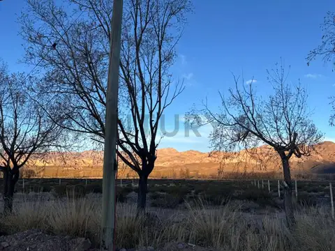 Terreno en Venta 100  mts Fondo