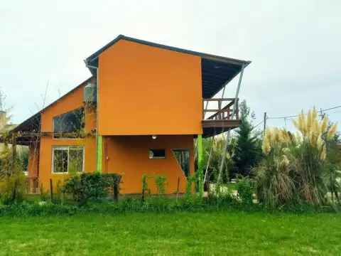 Domselaar Chico