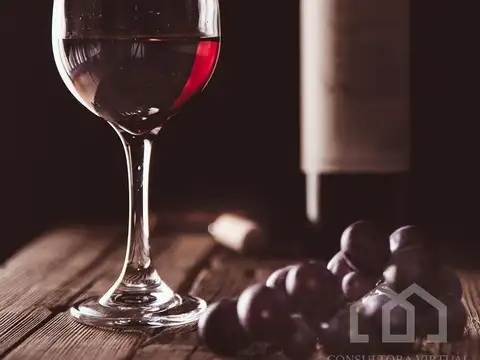 Fondo de Comercio Distribuidora Vinos y Bebidas Alcoholicas
