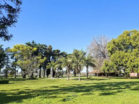 Lindísima quinta de 10.000 m2 en alquiler en Parada Robles  por 1 año