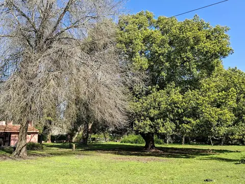 Quinta en Alquiler Temporal en Parada Robles, USD 1.500