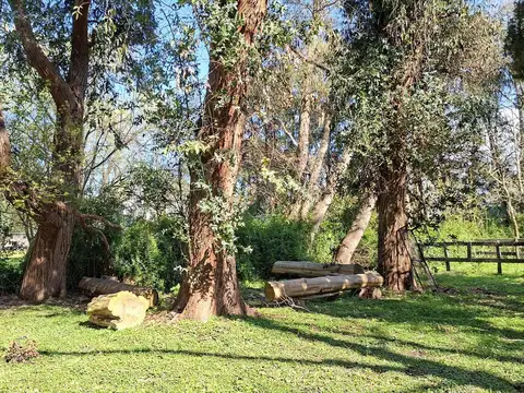 Quinta en Alquiler Temporal en Parada Robles, USD 1.500