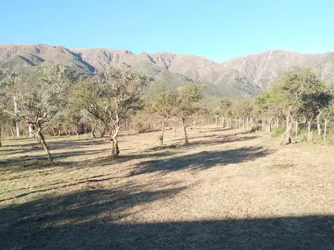 Casa en Venta de 1 dormitorio