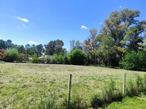 Terreno en Venta 52  mts Fondo