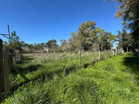 Terreno en Venta 52  mts Fondo