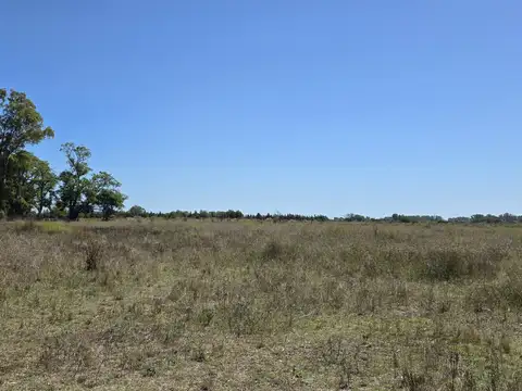 Chacra en venta en San Antonio de Areco