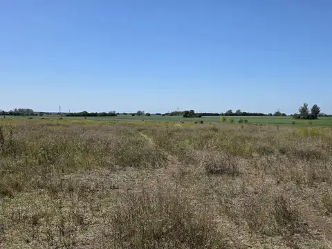 Chacra en venta en San Antonio de Areco