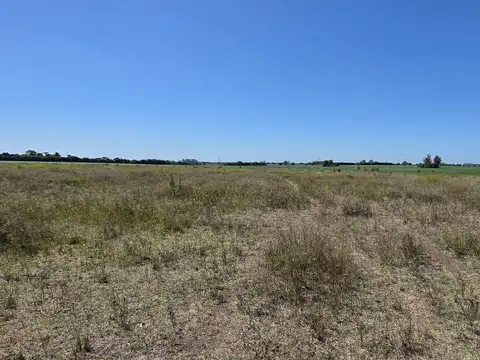 Chacra alomada en San Antonio de Areco