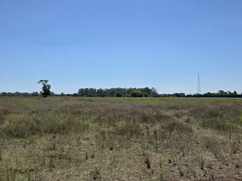 Chacra alomada en San Antonio de Areco