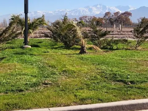 Terreno en Venta en Chacras de Coria, USD 75.000