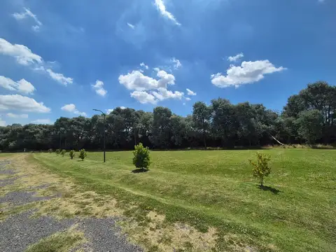 Terreno en Venta en Vicente Casares, USD 27.000