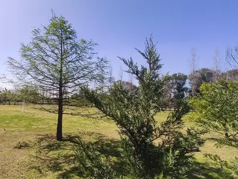 Terreno en Venta en Countries y Barrios Cerrados en Campana, USD 60.000