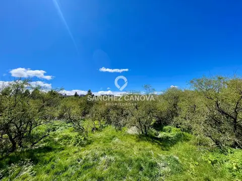 Terreno en Venta en Dina Huapi, USD 60.000