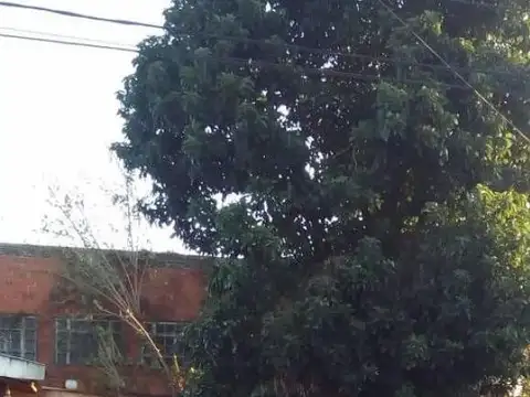 EINSTEIN al 100