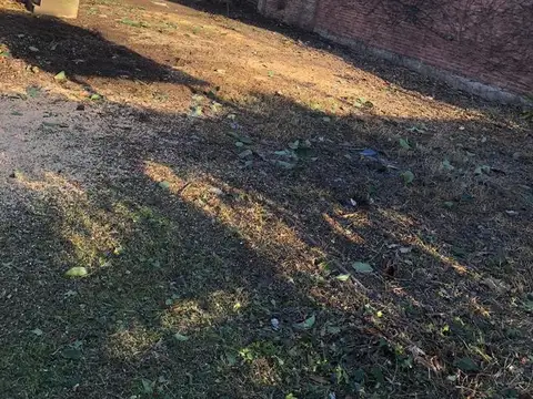 Galpon en Venta 21  mts Frente