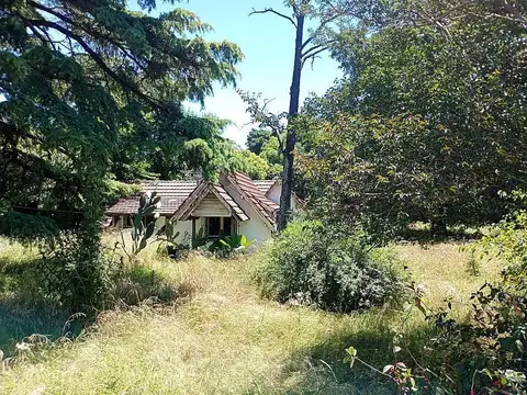 Terreno en Alquiler 87  mts Fondo