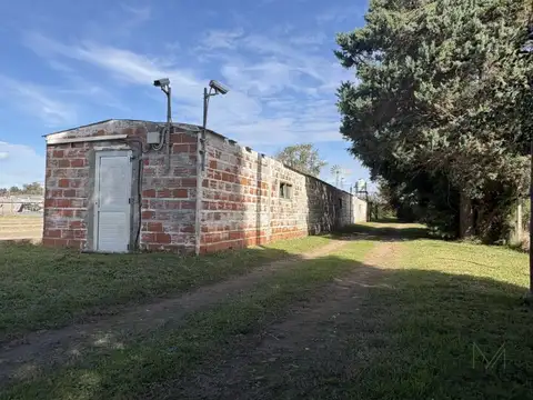 Falucho 300