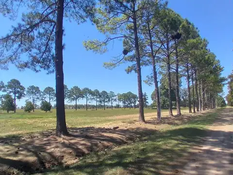 Terreno en Venta 30  mts Fondo