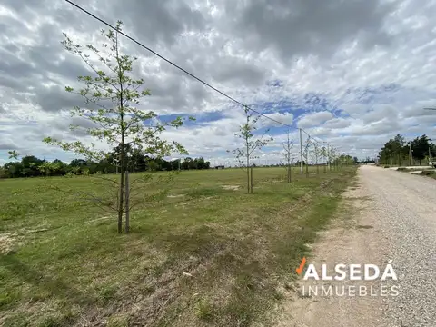 Terreno en Venta de 332,0 m2