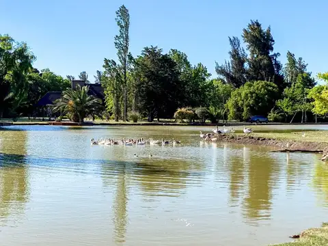 VENTA DEPARTAMENTO  BARRIO CERRADO FARM CLUB