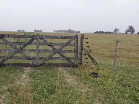 Campo en venta - 12.5 hectáreas - General Guido