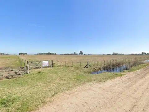 Campo en venta - 12.5 hectáreas - General Guido