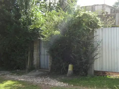 VERNIER 100