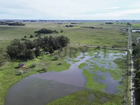 Campo en Venta de 7  ha