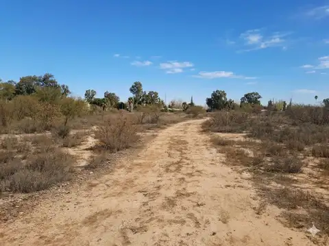 VENTA TERRENO DE 5.3H EN SANTA LUCIA
